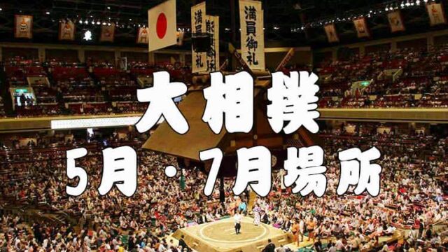 購入の正規品  大相撲　7月21日　チケット 名古屋場所 相撲/武道